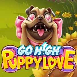 Go High Puppy Love online slot from RubyPlay – play at levelupcasino.edu.pl